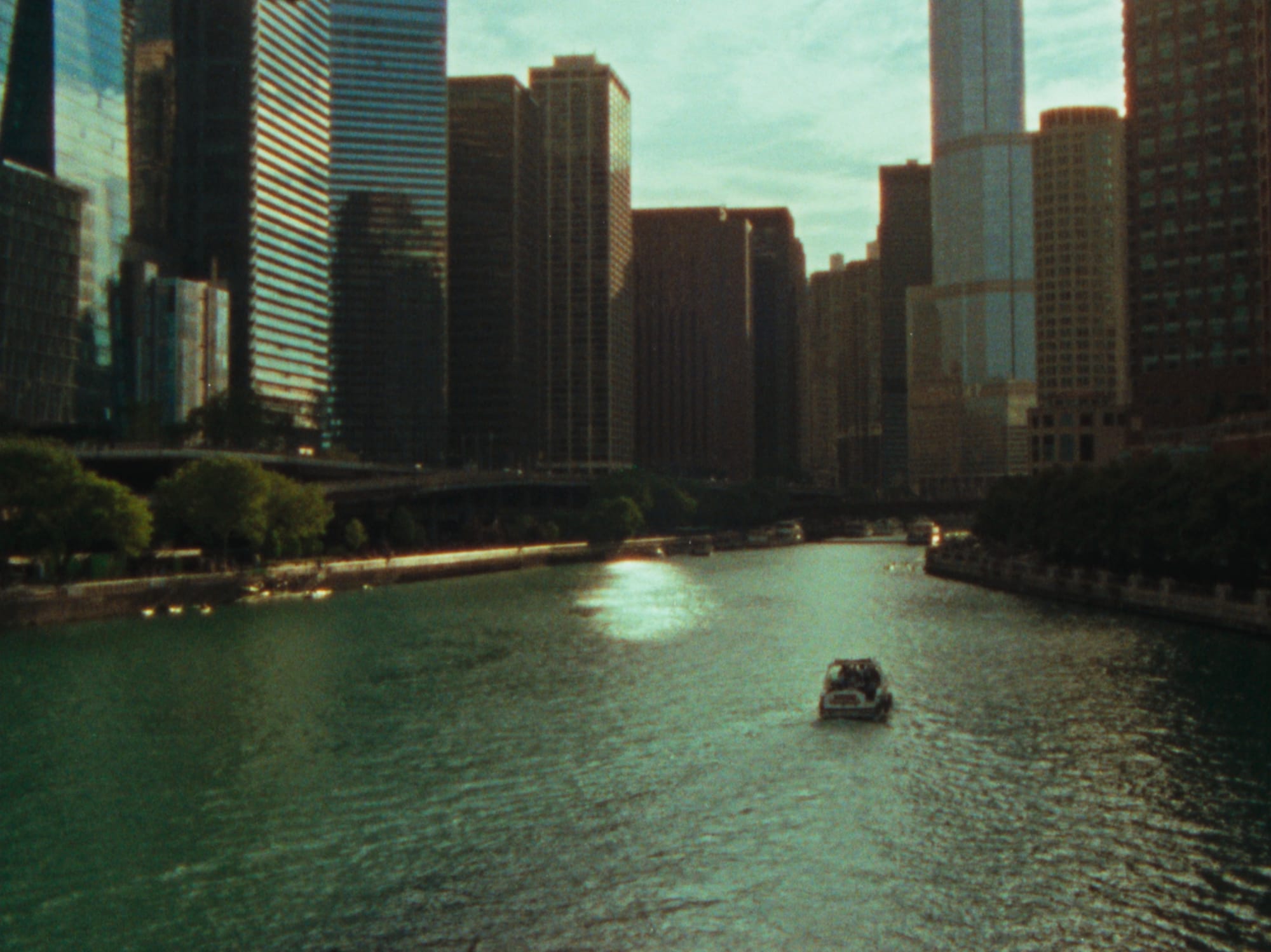 'American Dendrite' (2025 Green Film Fest of San Francisco Selection Series, Part 2)