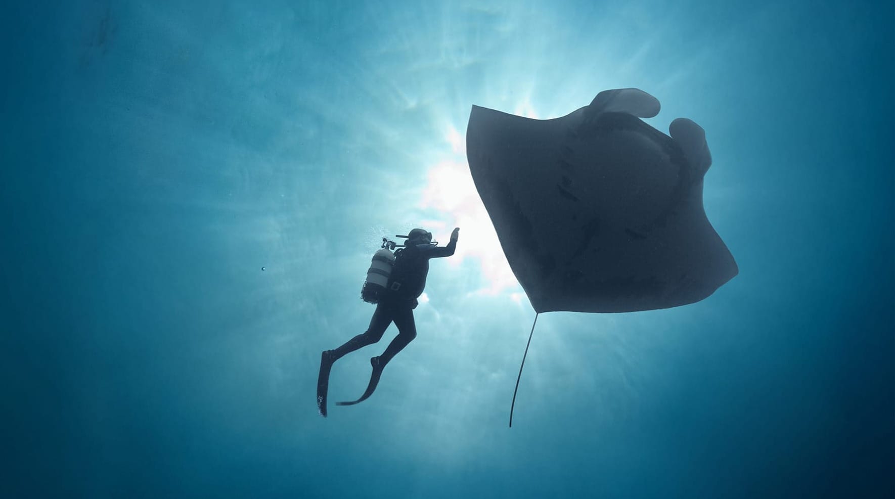 Selections From the 2025 Green Film Fest of San Francisco, Part 4