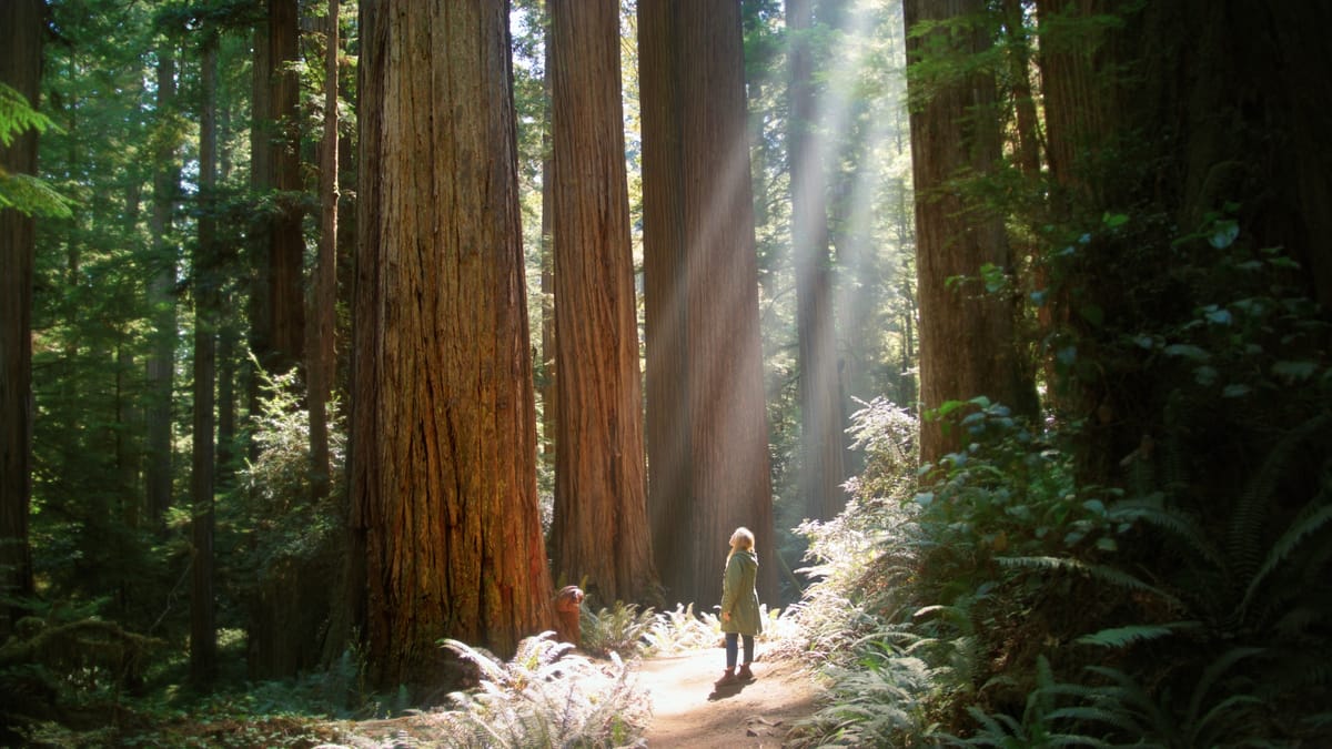 Grow(ing) Up: 'Giants Rising' | Green Film Festival of San Francisco 2024