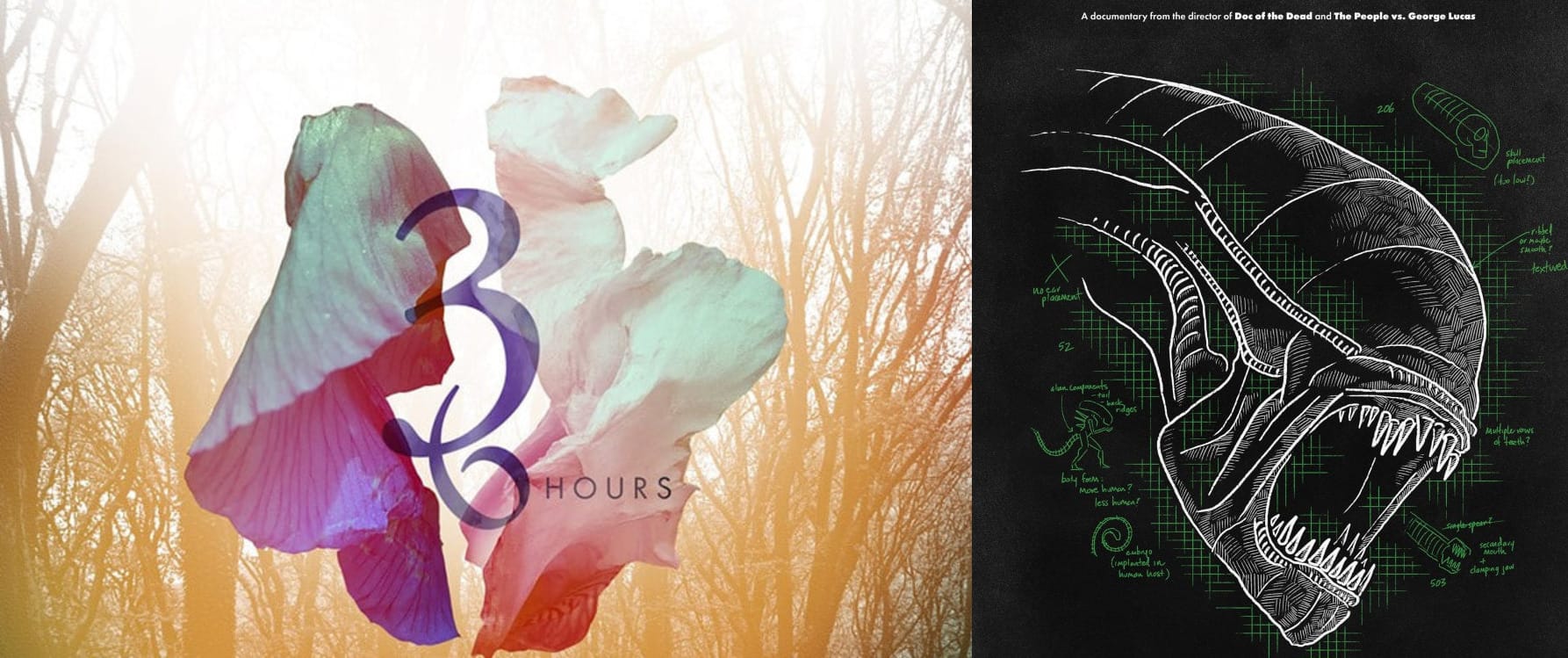 Review(s) | 36 HOURS / MEMORY: THE ORIGINS OF ALIEN | Plucked Into Obscurity