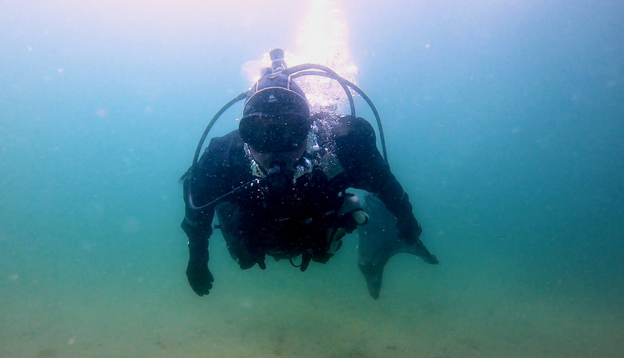 Fishing & Living: 'In the Whale' | Green Film Festival of San Francisco 2024