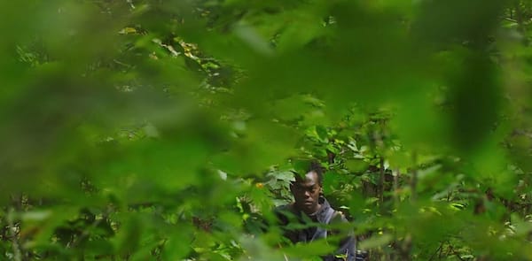 Review | THEY REMAIN